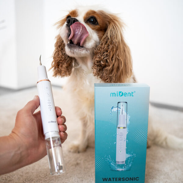 WaterSonic™ Ultrasonic Tartar Remover for Dogs